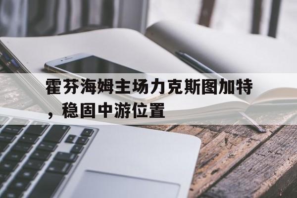 包含霍芬海姆主场力克斯图加特，稳固中游位置的词条